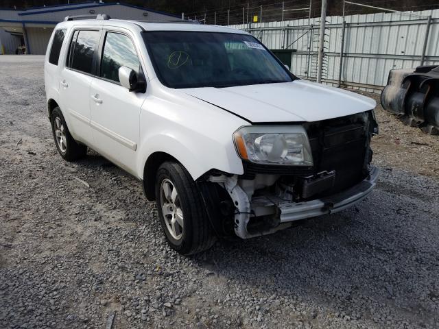 HONDA PILOT EXL 2011 5fnyf4h50bb085984