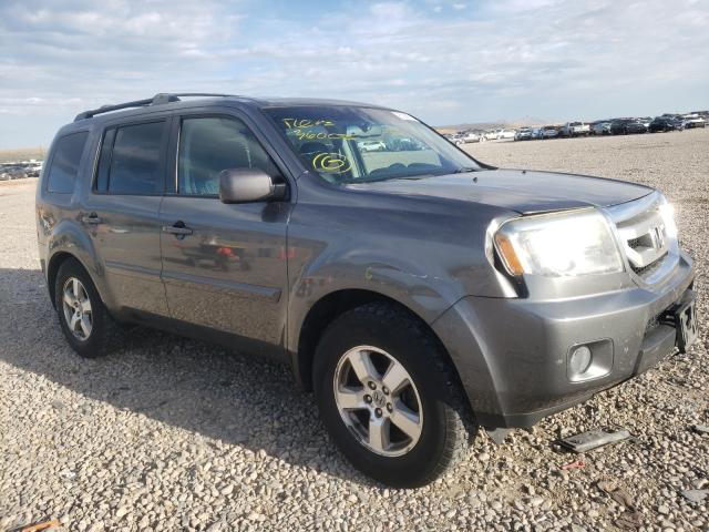 HONDA PILOT EXL 2011 5fnyf4h50bb095270