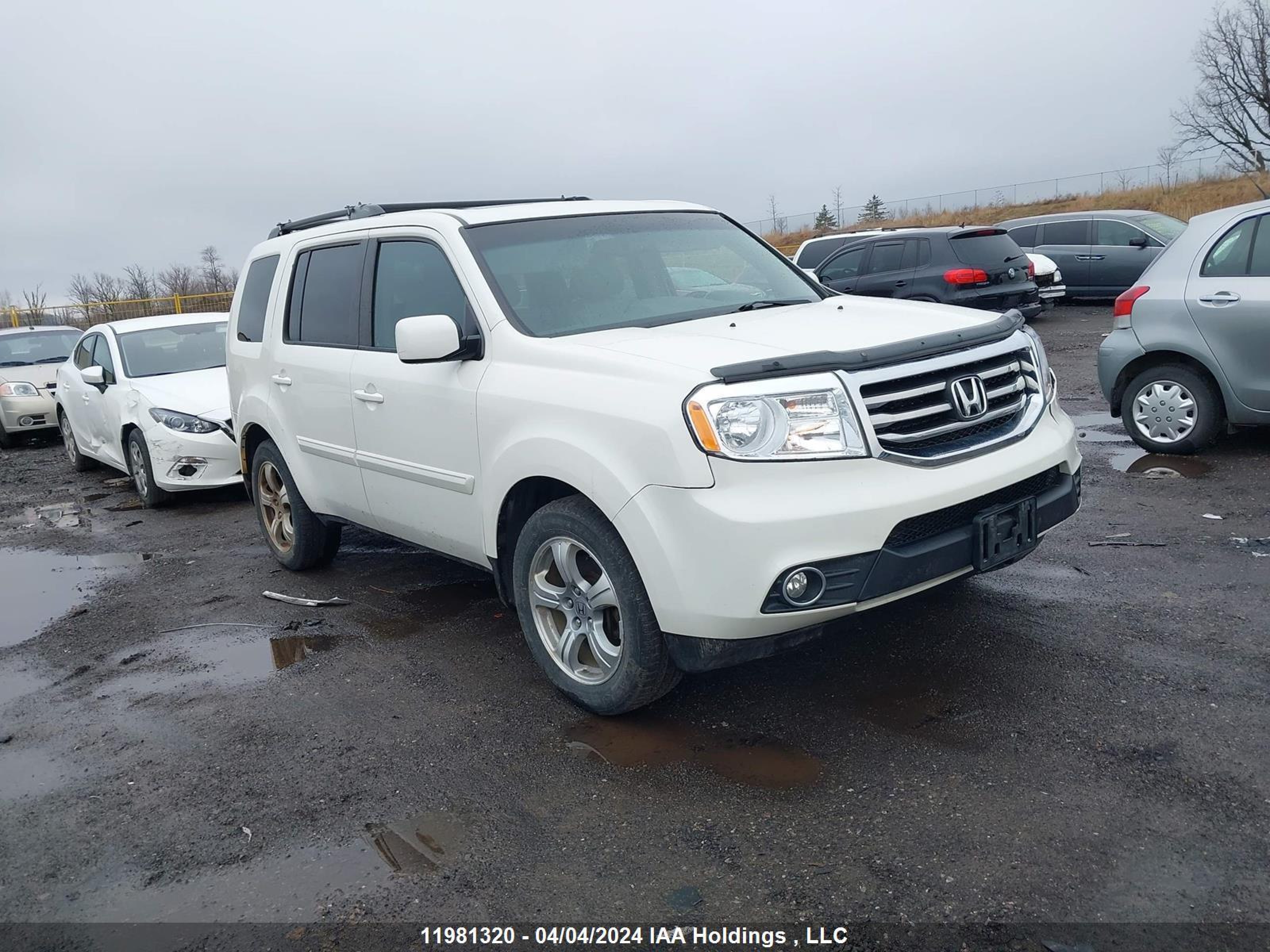 HONDA PILOT 2014 5fnyf4h50eb505196