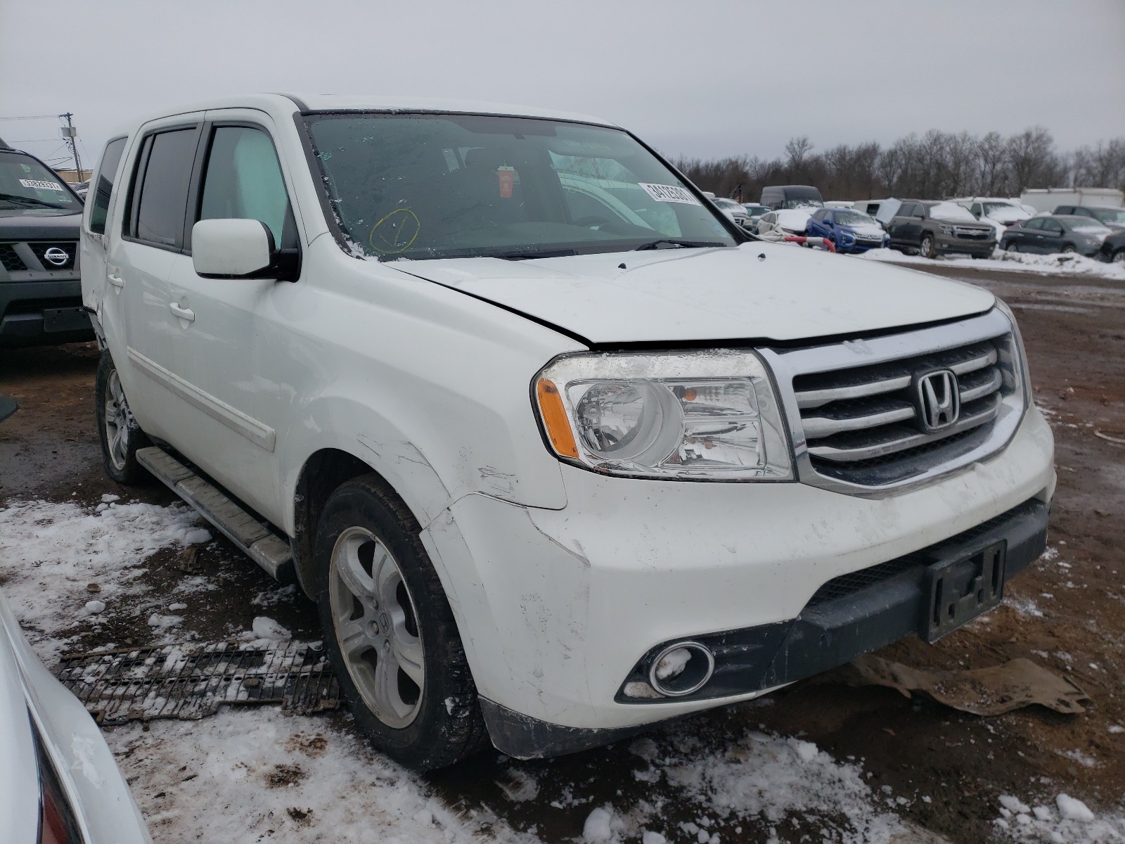 HONDA PILOT EXL 2015 5fnyf4h50fb003631