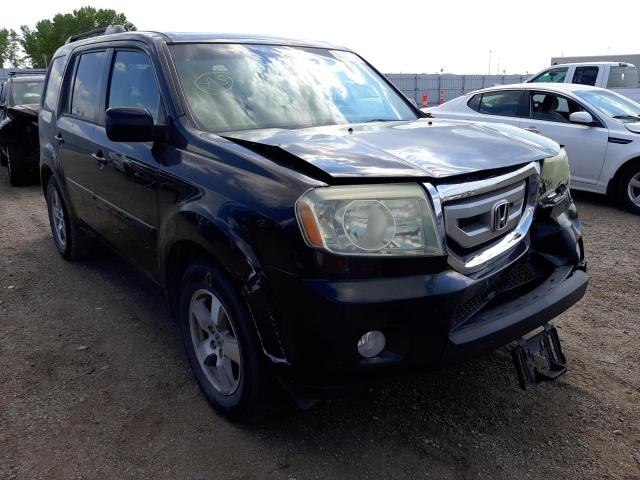 HONDA PILOT EXL 2010 5fnyf4h51ab016283