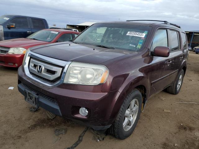 HONDA PILOT 2010 5fnyf4h51ab016865