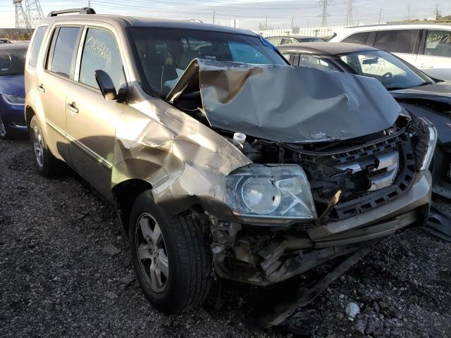 HONDA PILOT EXL 2010 5fnyf4h51ab021595