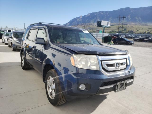 HONDA PILOT EXL 2010 5fnyf4h51ab030135