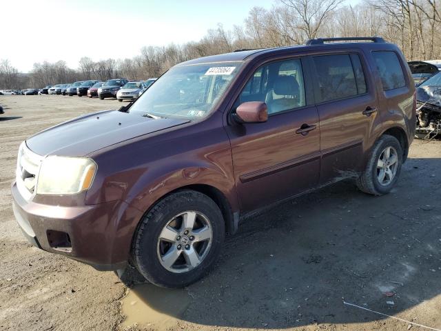 HONDA PILOT 2010 5fnyf4h51ab030975