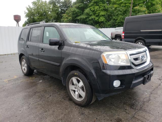 HONDA PILOT EXL 2010 5fnyf4h51ab033374