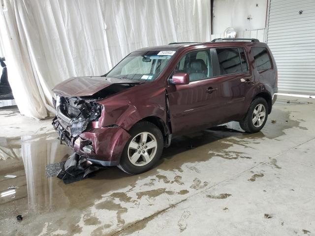 HONDA PILOT EXL 2010 5fnyf4h51ab034640