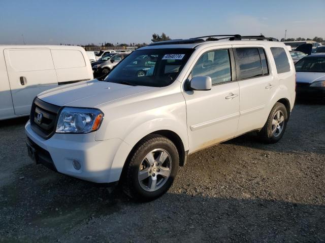 HONDA PILOT 2010 5fnyf4h51ab037795