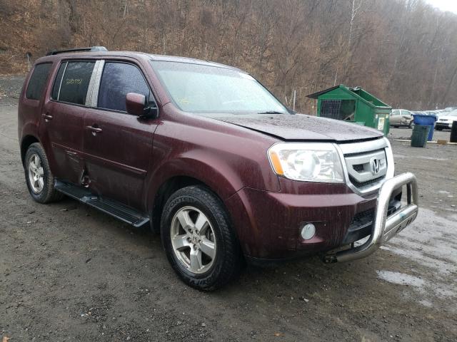 HONDA PILOT EXL 2010 5fnyf4h51ab038655