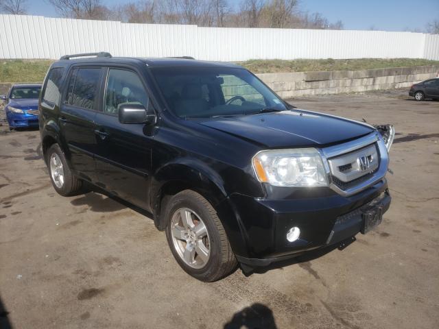 HONDA PILOT EXL 2010 5fnyf4h51ab039093