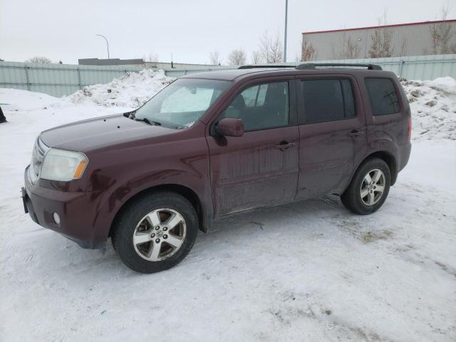 HONDA PILOT EXL 2011 5fnyf4h51bb002871