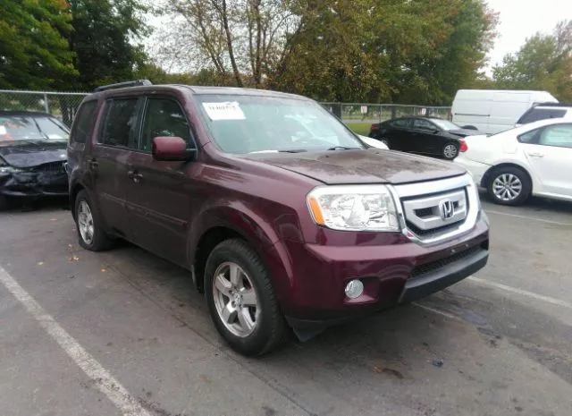 HONDA PILOT 2011 5fnyf4h51bb003390