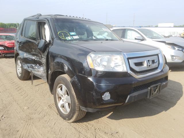 HONDA PILOT EXL 2011 5fnyf4h51bb005172