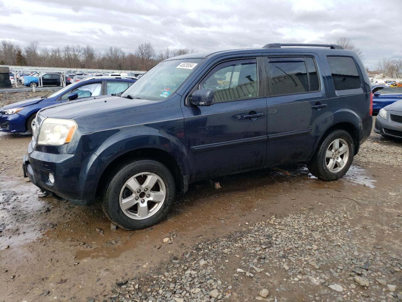 HONDA PILOT 2011 5fnyf4h51bb010551