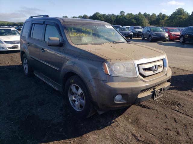 HONDA PILOT EXL 2011 5fnyf4h51bb013188