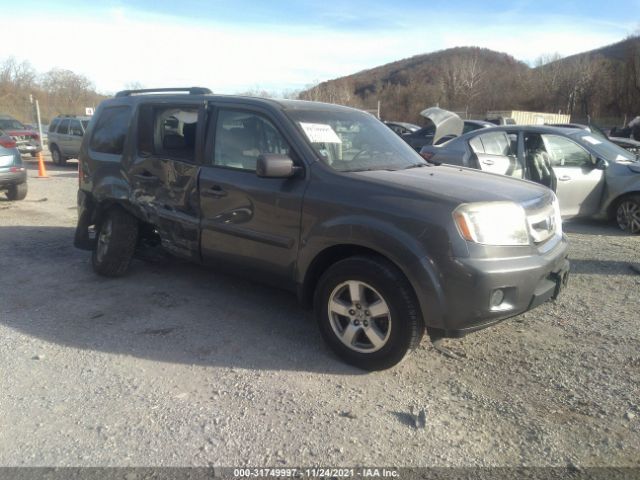 HONDA PILOT 2011 5fnyf4h51bb016558