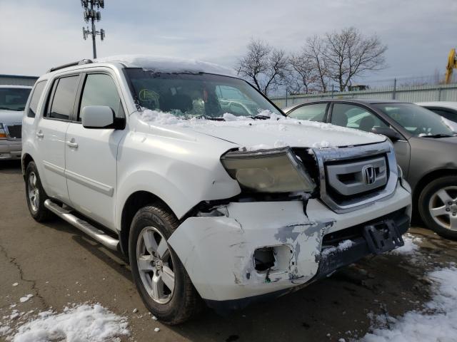 HONDA PILOT EXL 2011 5fnyf4h51bb017967