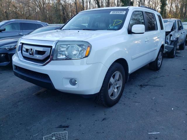 HONDA PILOT EXL 2011 5fnyf4h51bb022179