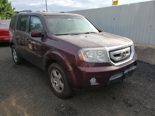 HONDA PILOT EXL 2011 5fnyf4h51bb033487