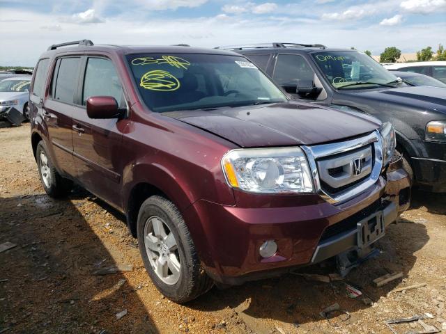 HONDA PILOT EXL 2011 5fnyf4h51bb033716