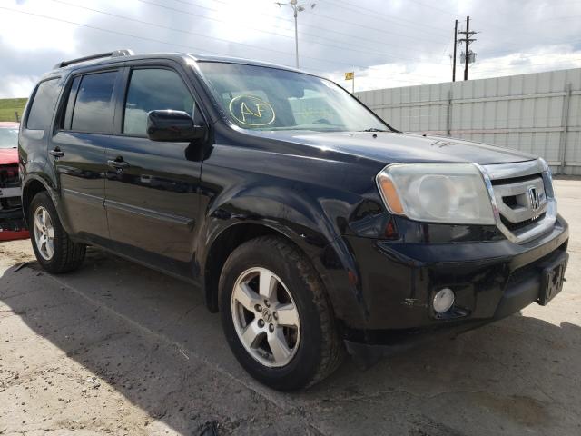 HONDA PILOT EXL 2011 5fnyf4h51bb035157