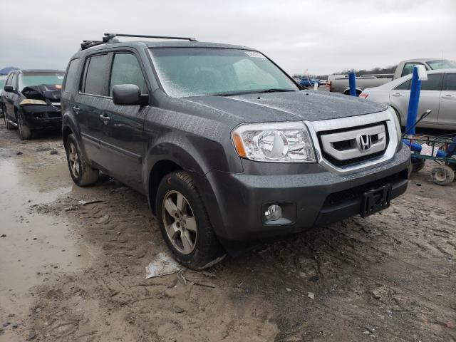 HONDA PILOT EXL 2011 5fnyf4h51bb035840