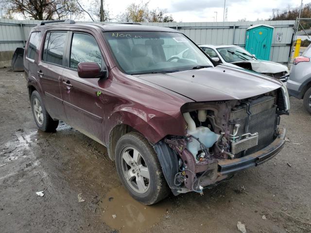 HONDA PILOT EXL 2011 5fnyf4h51bb036163