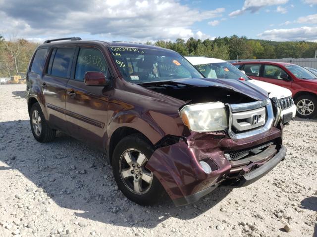 HONDA PILOT EXL 2011 5fnyf4h51bb050306