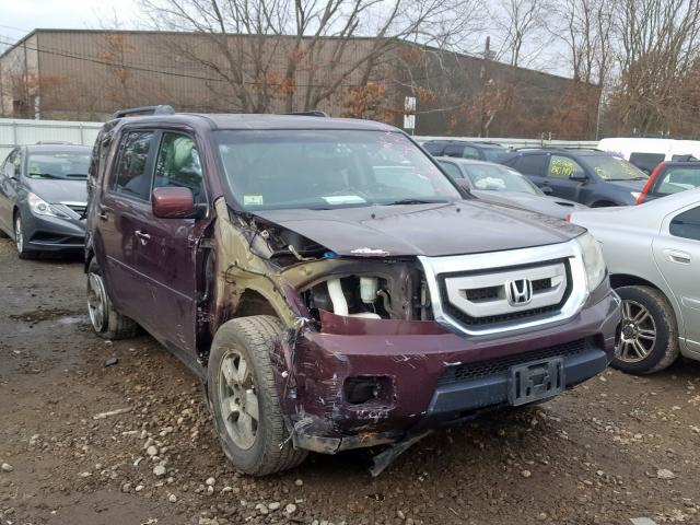 HONDA PILOT EXL 2011 5fnyf4h51bb065386