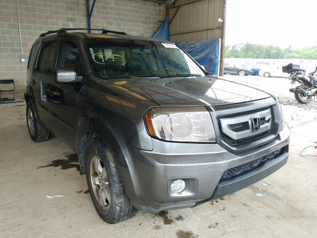 HONDA PILOT EXL 2011 5fnyf4h51bb076405