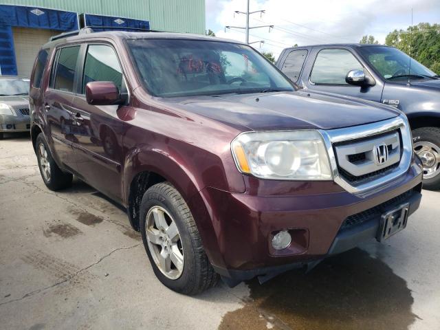 HONDA PILOT EXL 2011 5fnyf4h51bb088652