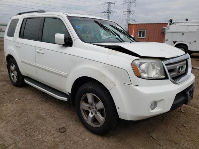 HONDA PILOT EXL 2011 5fnyf4h51bb100184