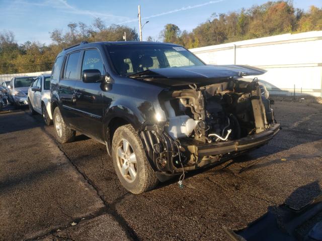 HONDA PILOT EXL 2010 5fnyf4h52ab007060