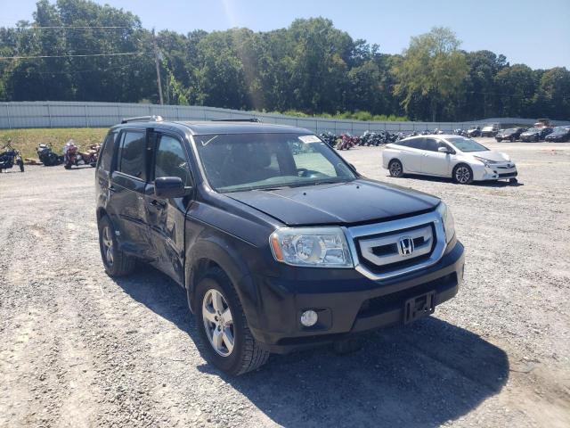 HONDA PILOT EXL 2010 5fnyf4h52ab019788