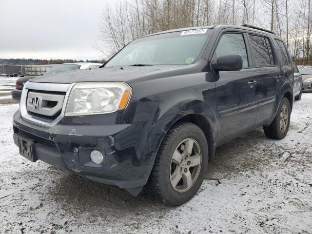 HONDA PILOT EXL 2010 5fnyf4h52ab019998