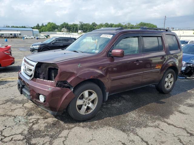 HONDA PILOT 2010 5fnyf4h52ab020519