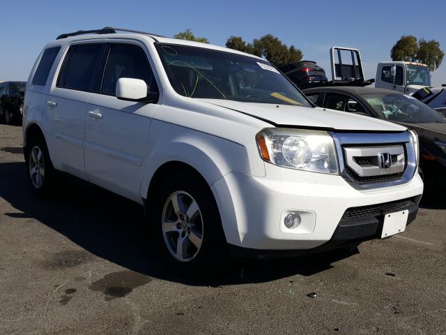 HONDA PILOT EXL 2010 5fnyf4h52ab021668