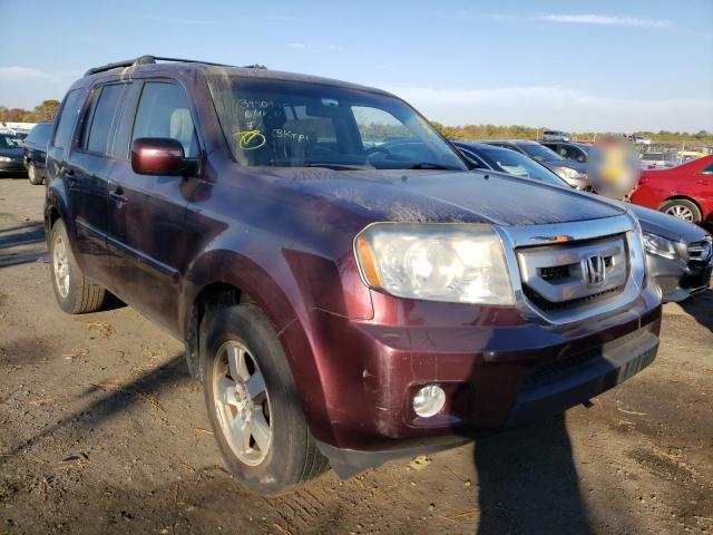 HONDA PILOT EXL 2010 5fnyf4h52ab022898