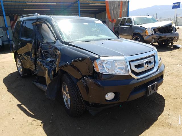 HONDA PILOT EXL 2010 5fnyf4h52ab025459