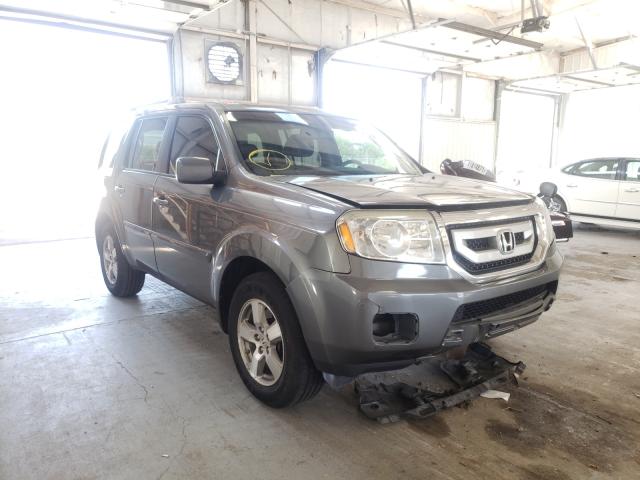 HONDA PILOT EXL 2010 5fnyf4h52ab028300