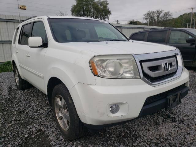 HONDA PILOT EXL 2010 5fnyf4h52ab029897