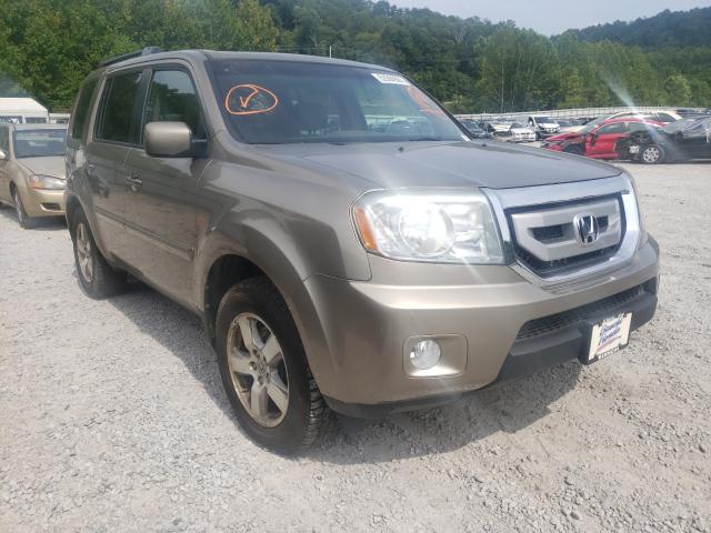 HONDA PILOT EXL 2010 5fnyf4h52ab031312