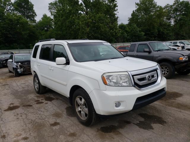 HONDA PILOT EXL 2010 5fnyf4h52ab033092