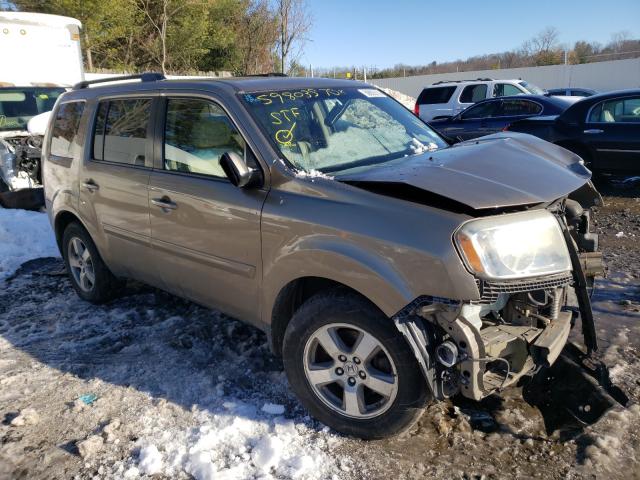 HONDA PILOT EXL 2010 5fnyf4h52ab035697