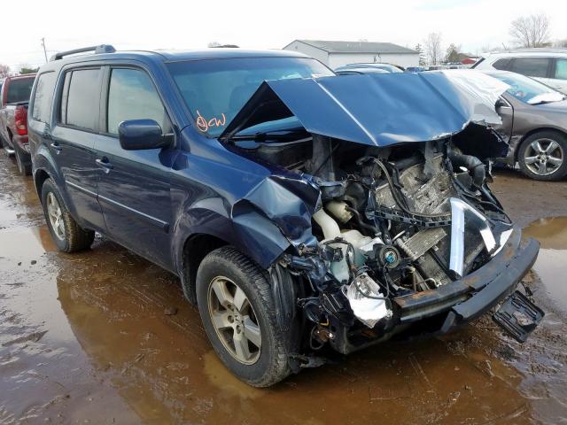 HONDA PILOT EXL 2010 5fnyf4h52ab036607