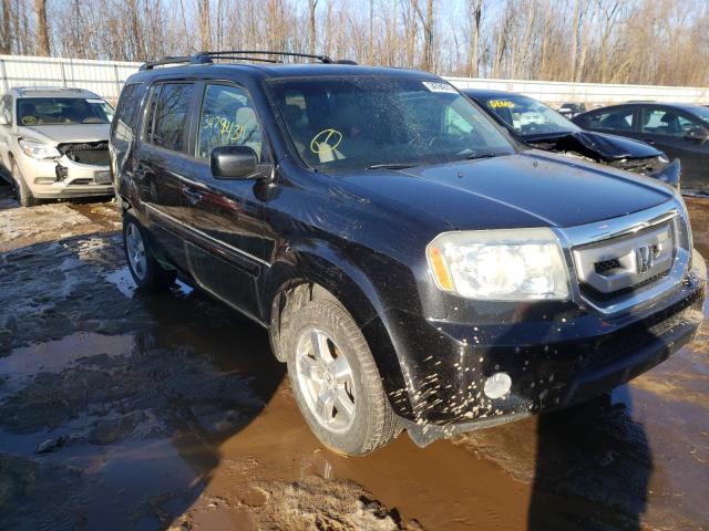 HONDA PILOT EXL 2010 5fnyf4h52ab038034