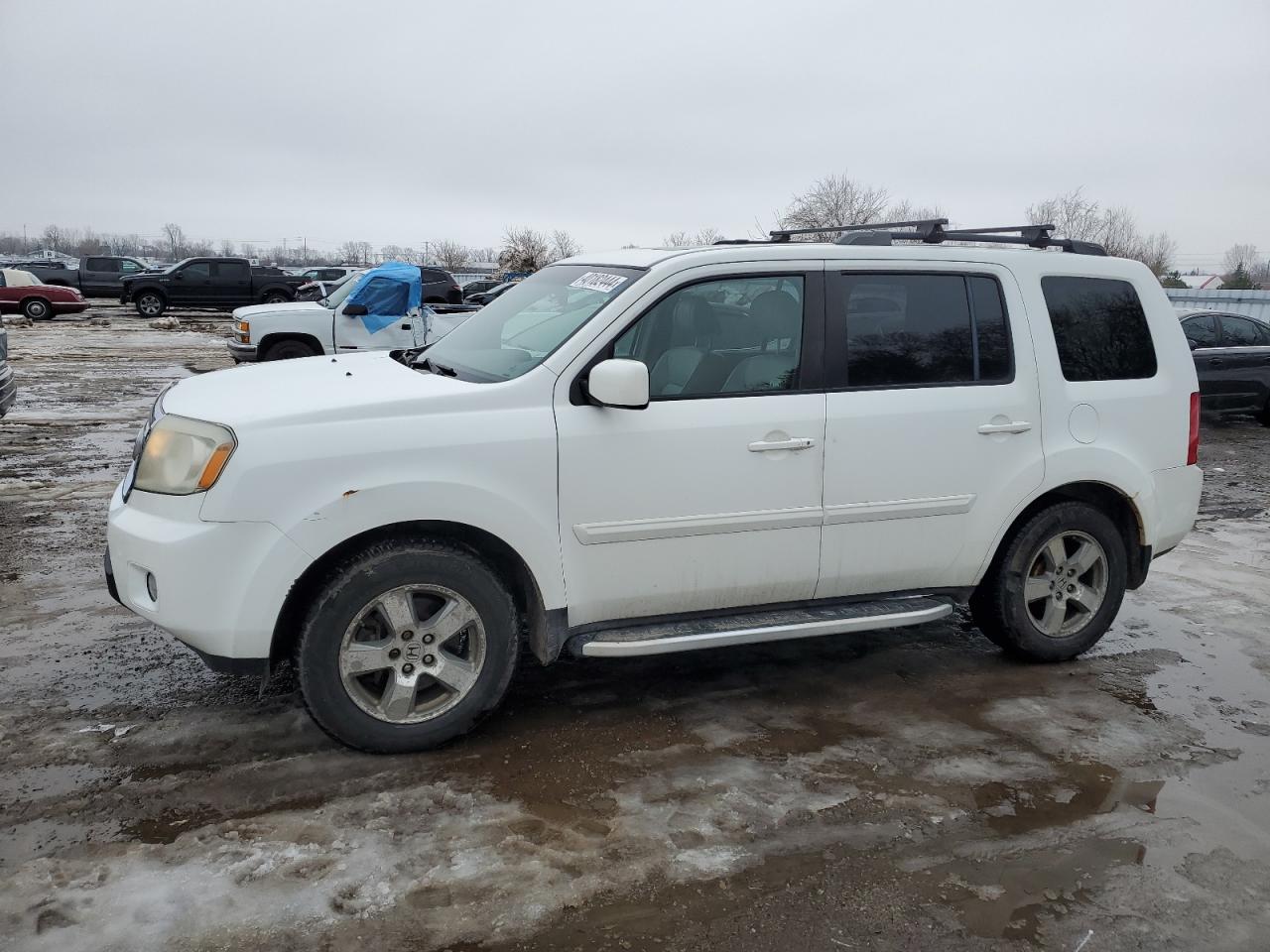 HONDA PILOT 2010 5fnyf4h52ab501077