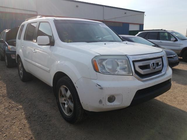 HONDA PILOT EXL 2010 5fnyf4h52ab502875