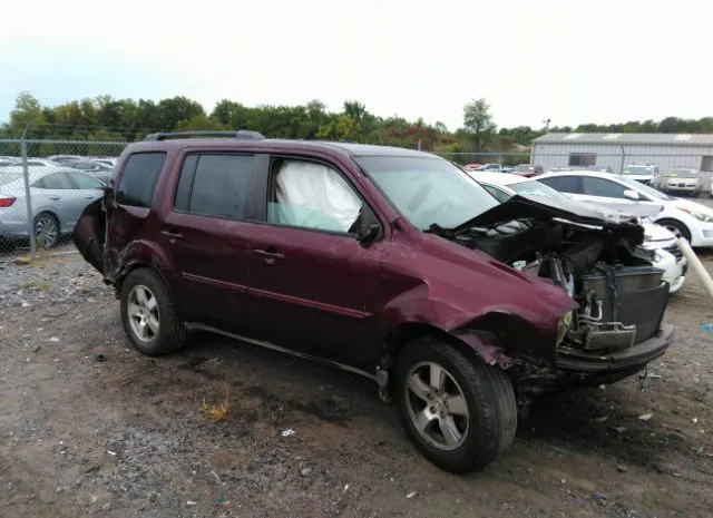 HONDA PILOT 2011 5fnyf4h52bb007237