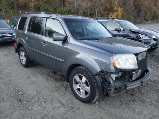 HONDA PILOT EXL 2011 5fnyf4h52bb016097